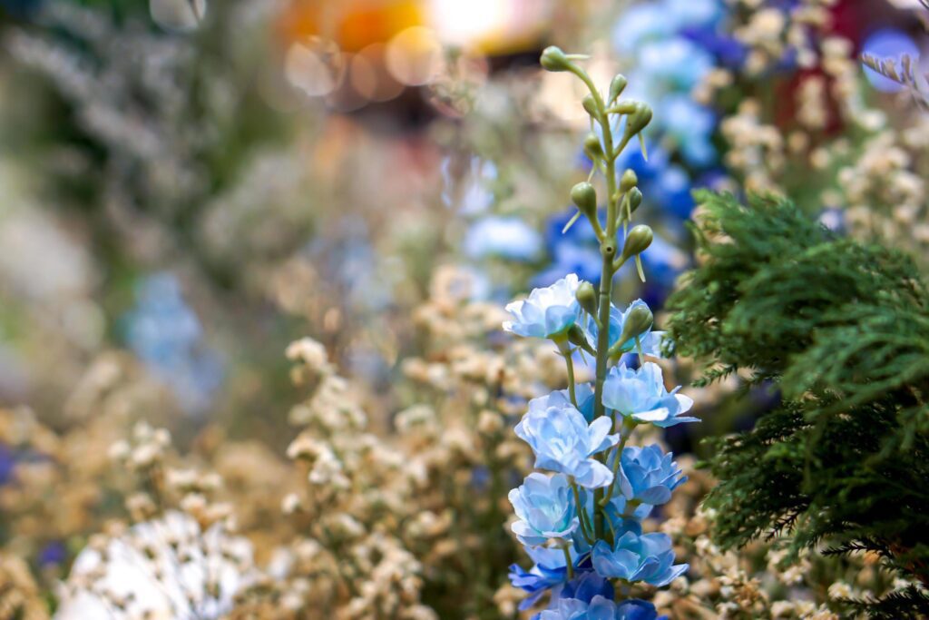 Closeup and crop little blue flower on blurry background. Stock Free