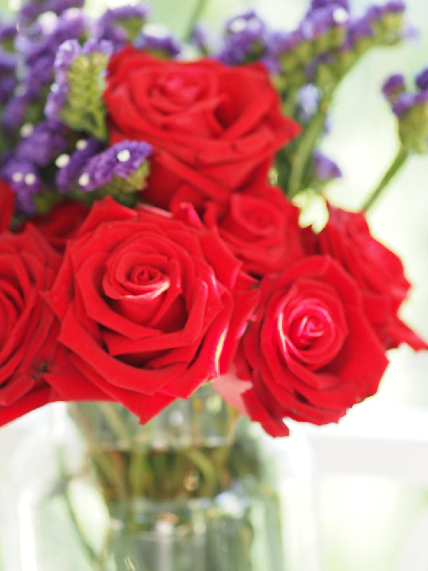 red-rose-and-dried-statice-flower-soft-pink-violet-color-in-clear-glass-vase-vintage-style-concept-for-write-text-design-in-front-background-free-photo