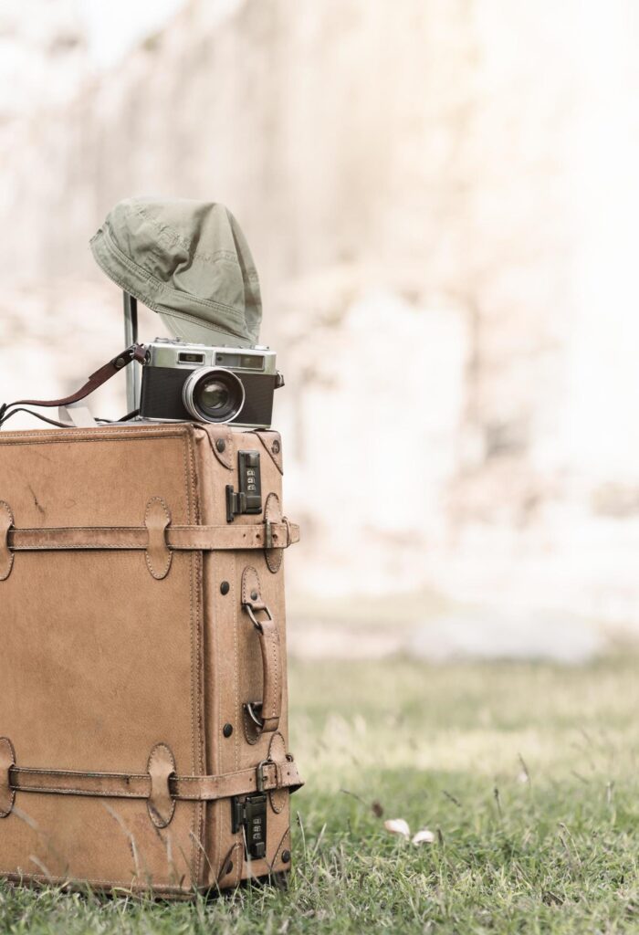 vintage camera on old baggage bag on grass Stock Free