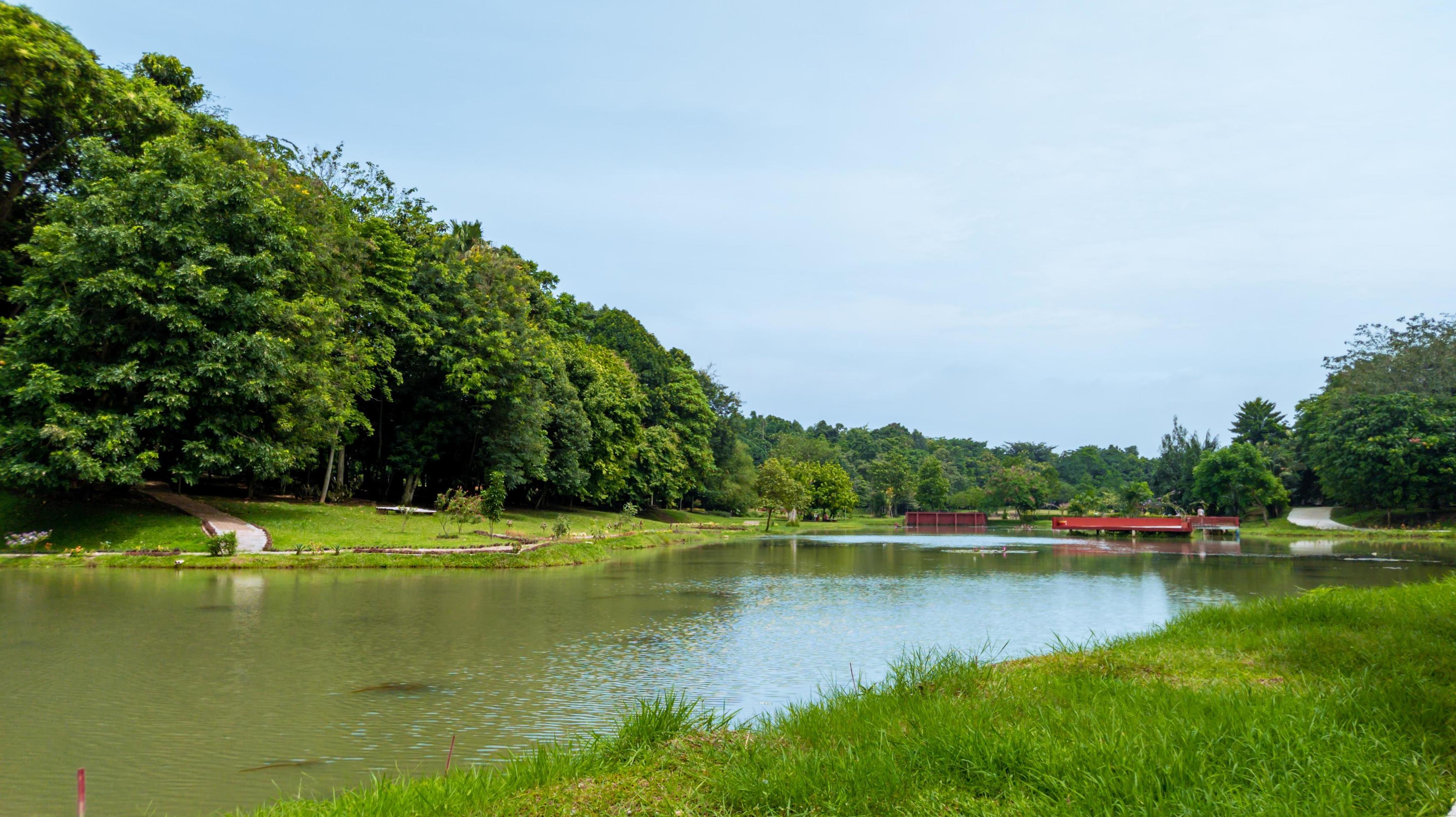 beautiful natural lanscape scenery, lake with wooden bridge, nature wallpaper, landscape background Stock Free