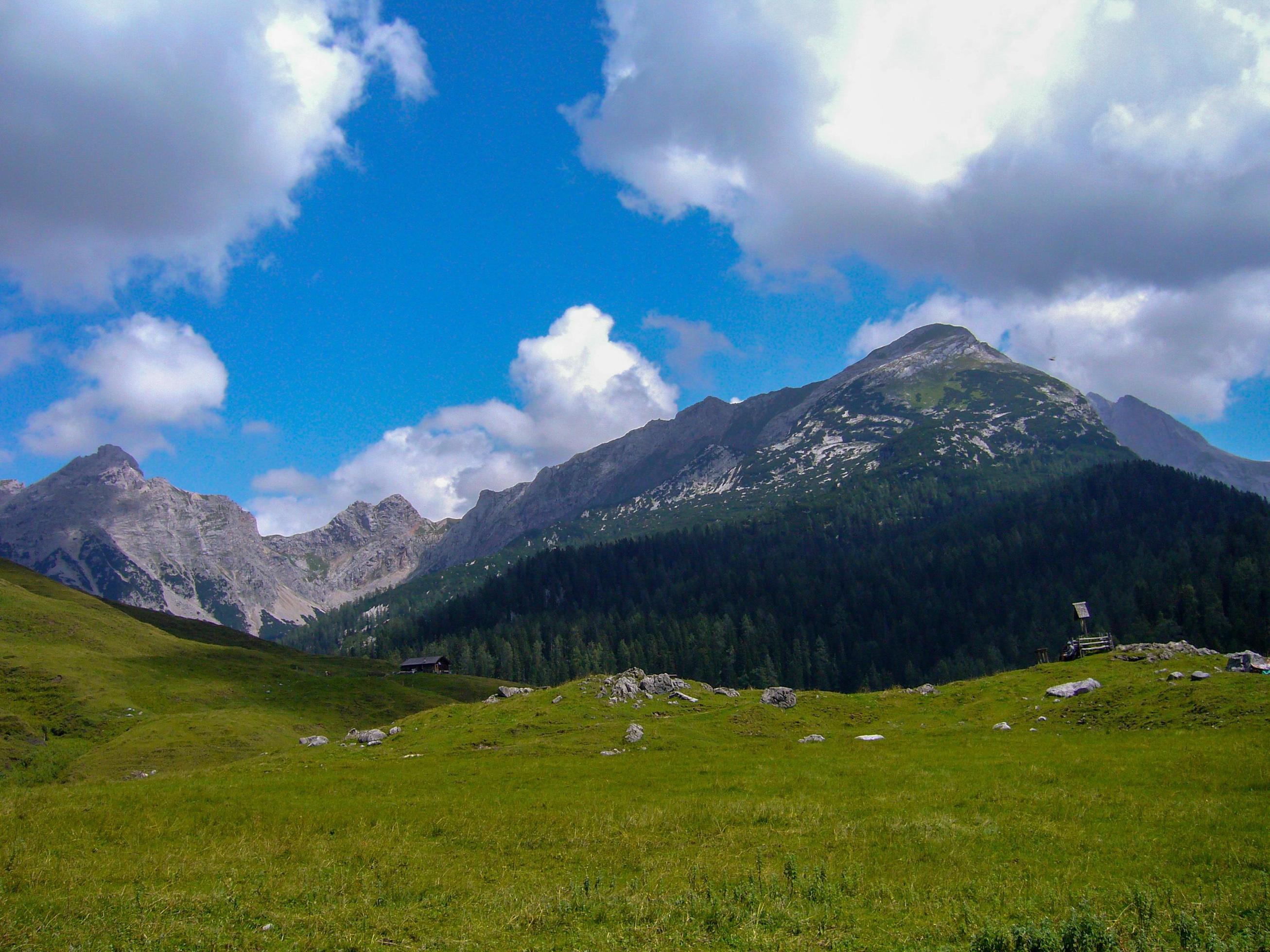 beautiful nature scenery at kallbrunn alm, austria Stock Free