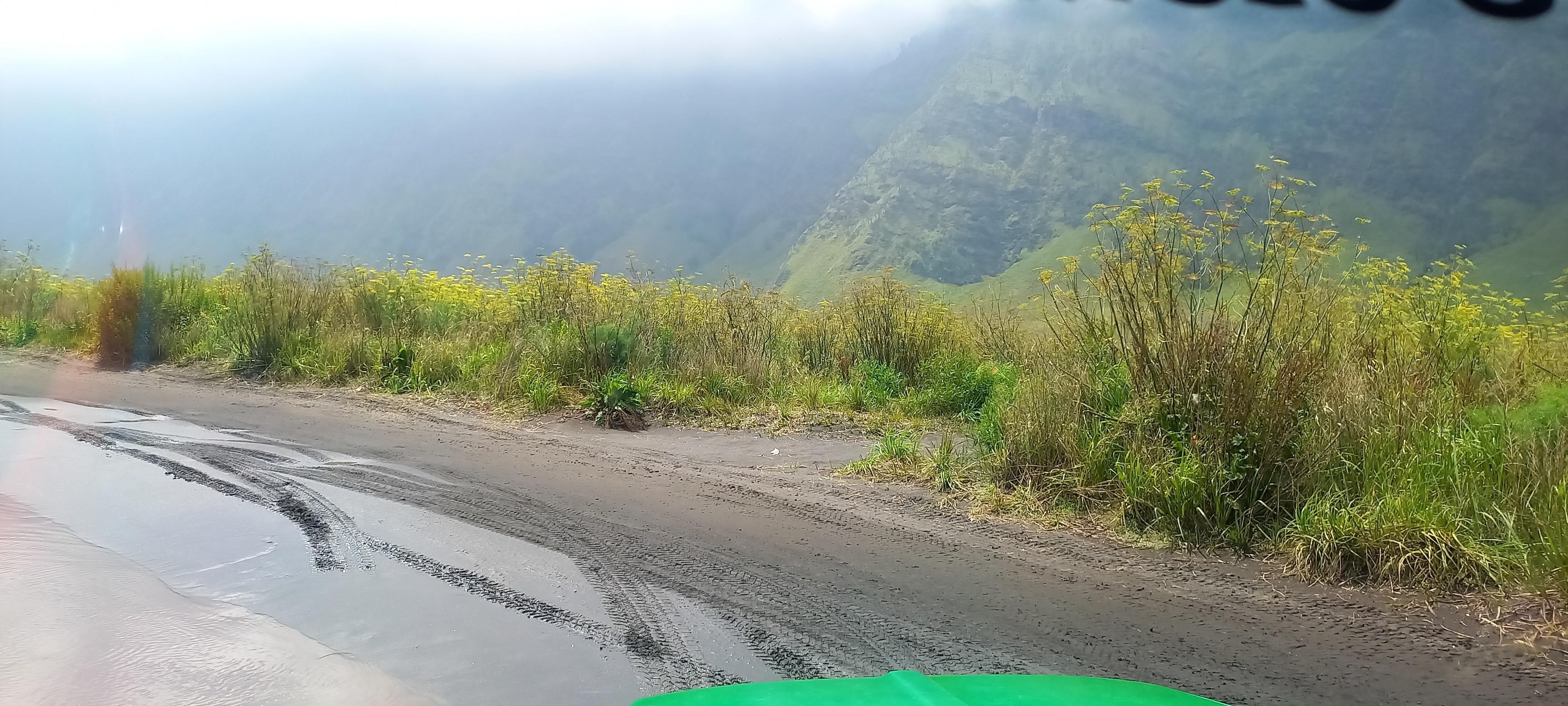 See the natural beauty of Mount Bromo, Indonesia Stock Free