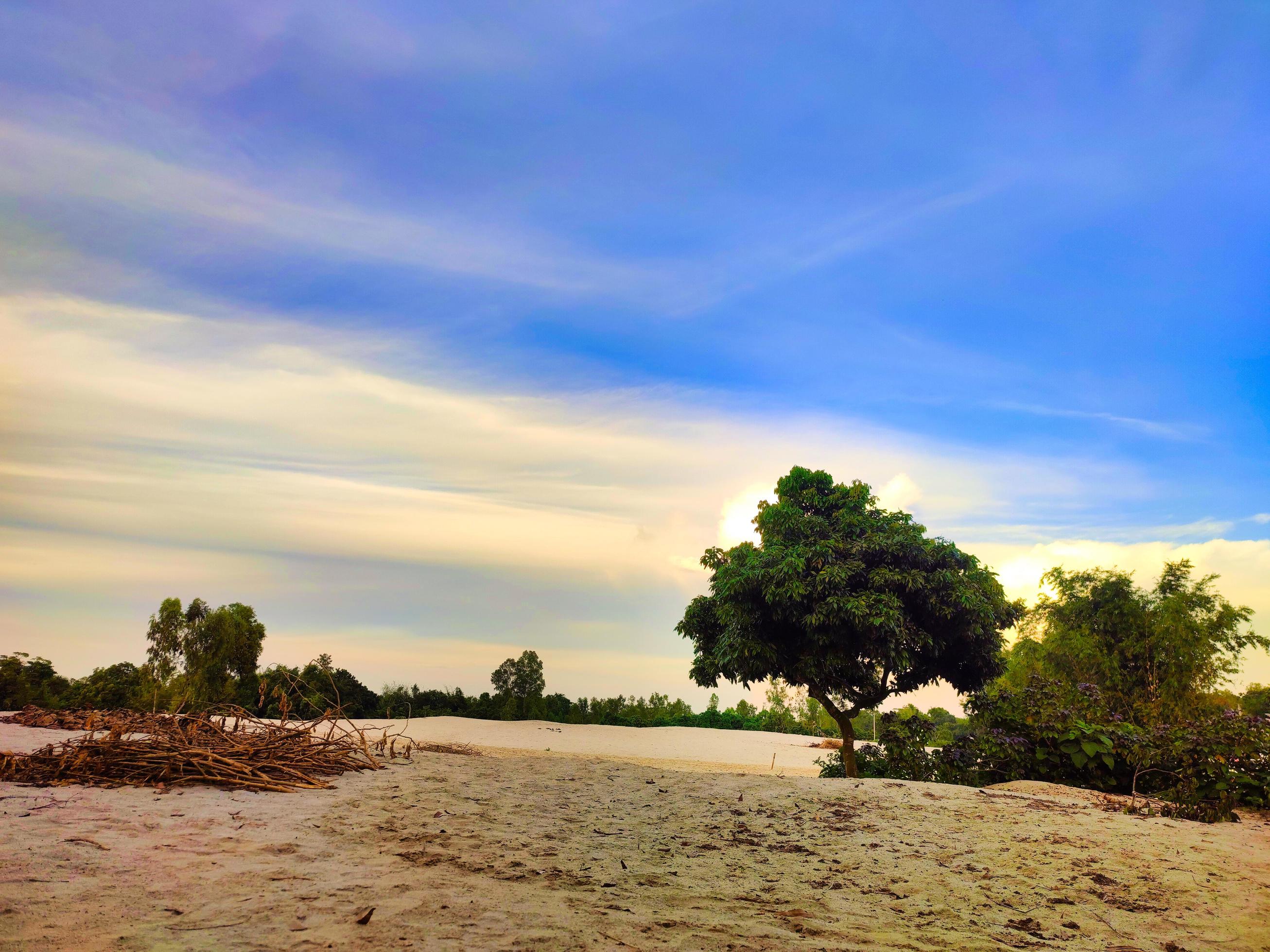 White Sand Field with blue sky in Asia.Beauty natural scenery. Stock Free