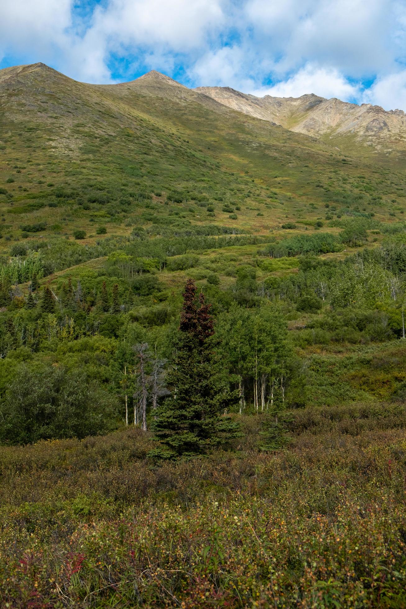 Nature landscape in Alaska Stock Free