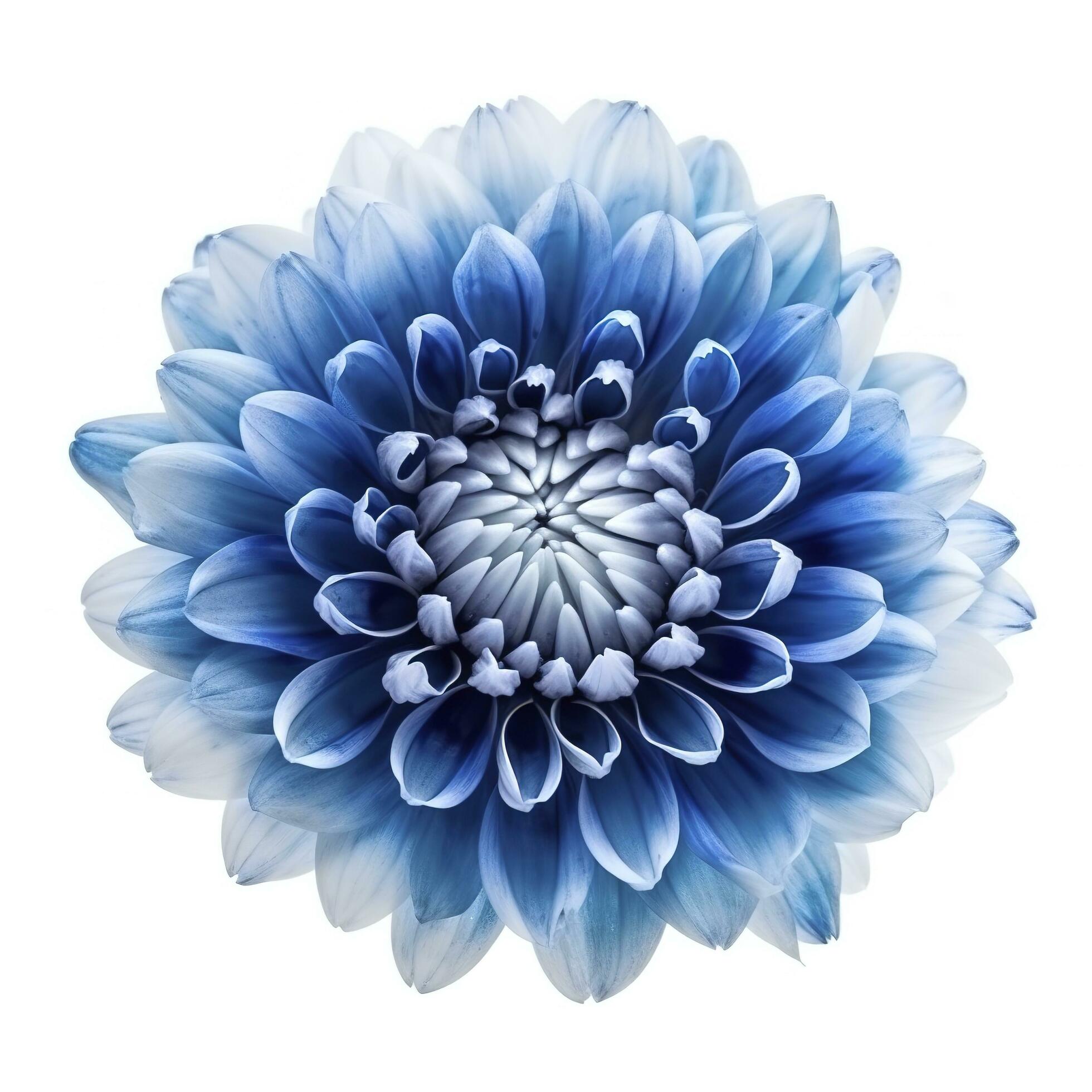 Blue flower isolated on white background, generate ai Stock Free