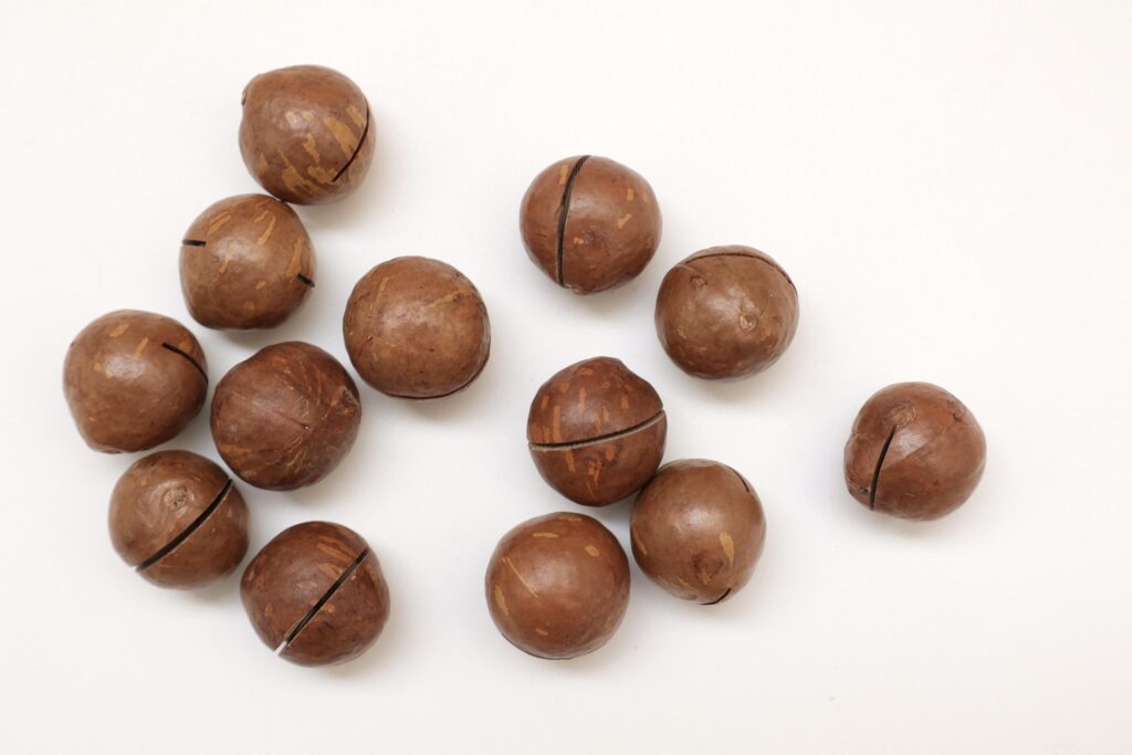 Macadamia nuts seeds background Stock Free