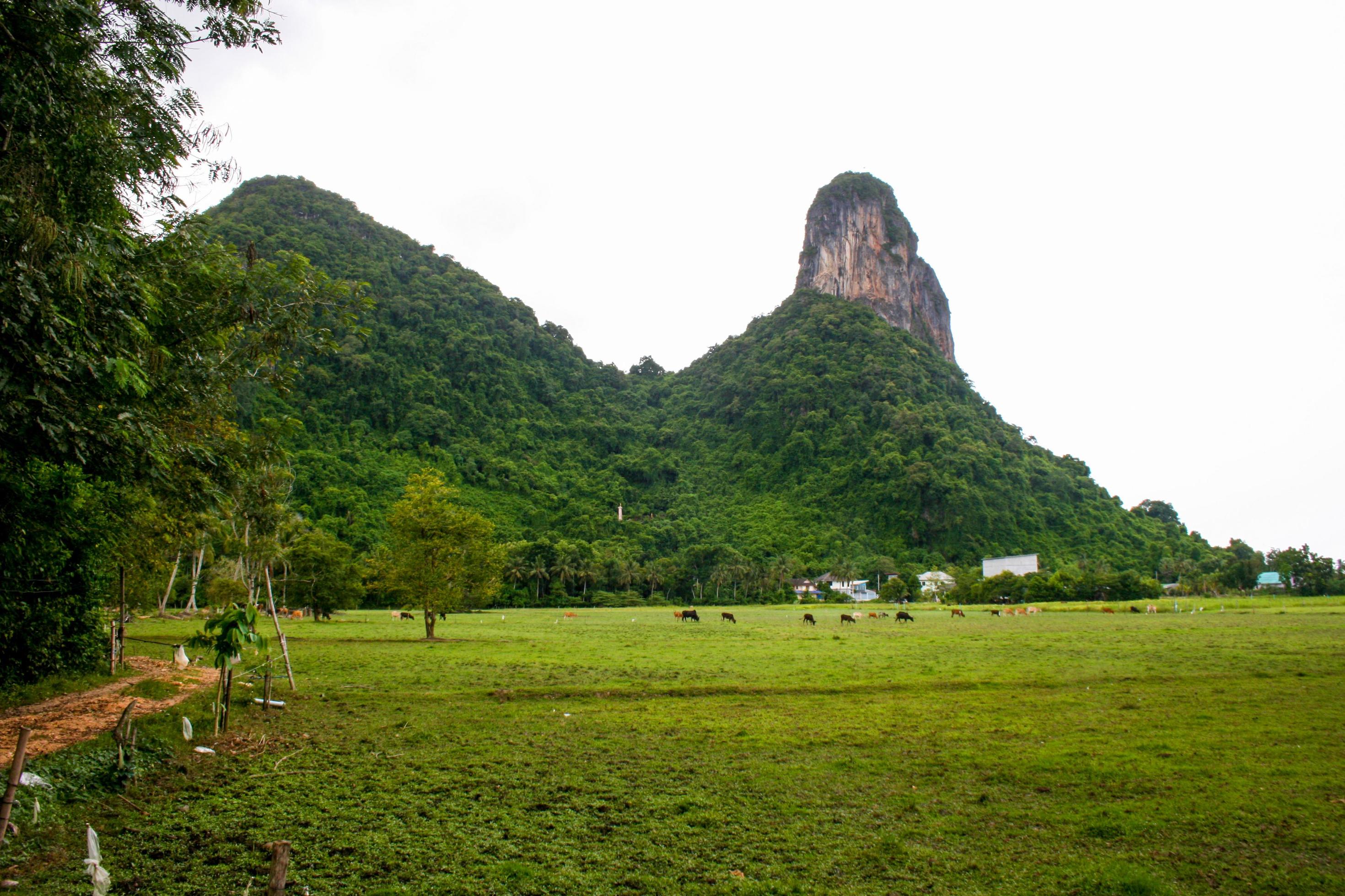 hight mountain beauty nature in phaatthalung south Thailand Stock Free