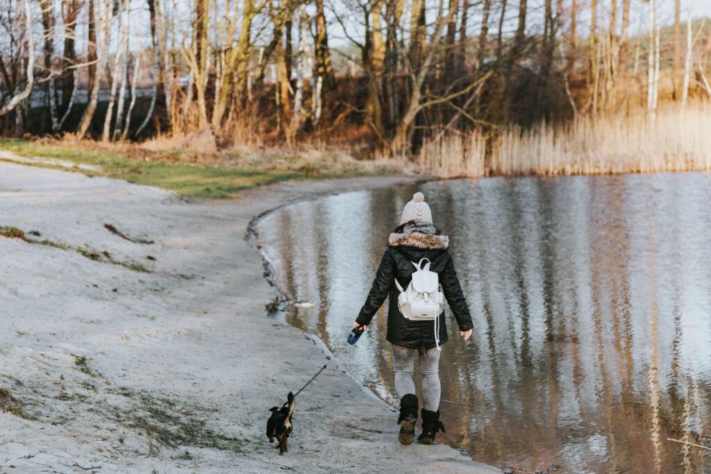 A walk by the lake Stock Free