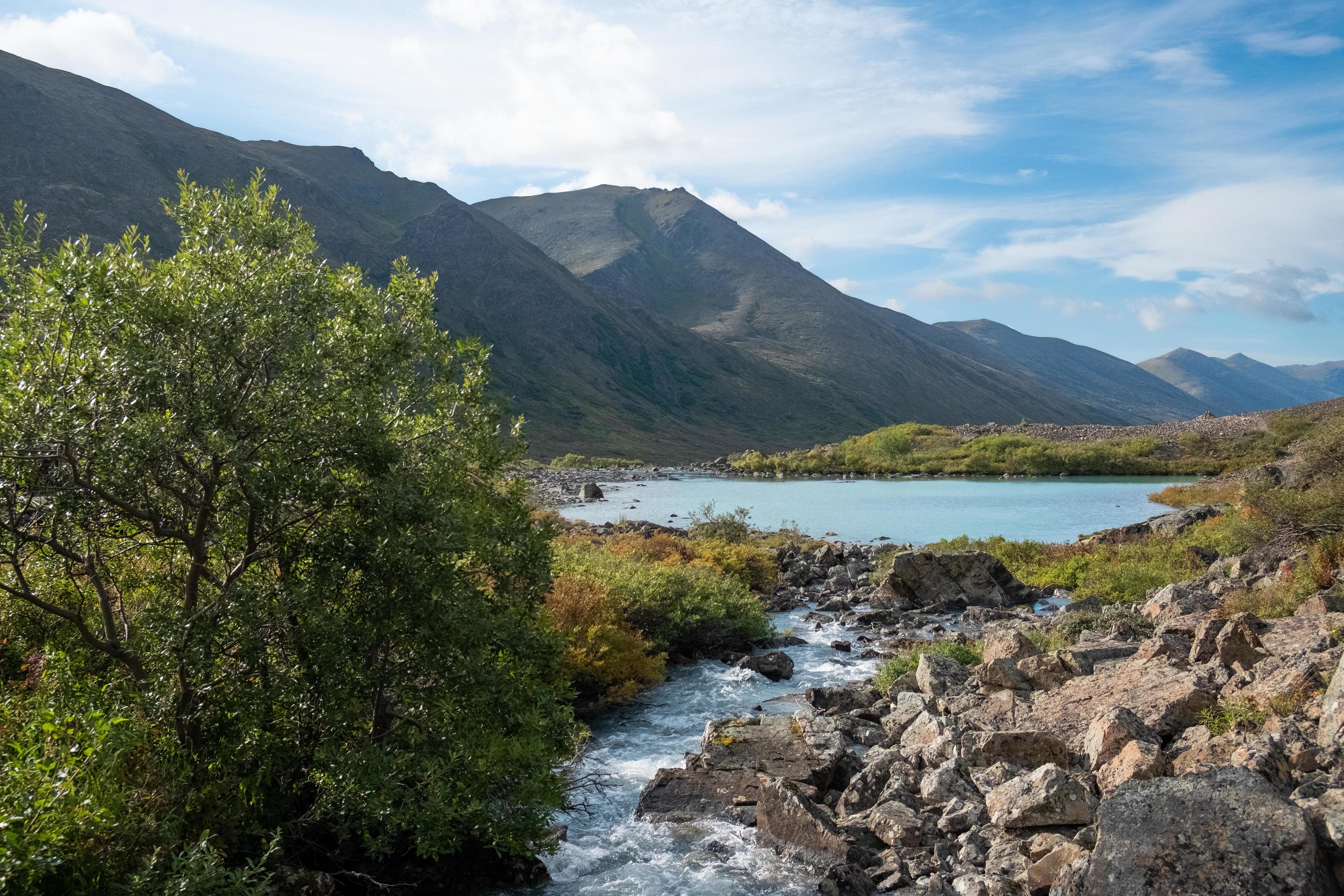 Nature landscape in Alaska Stock Free