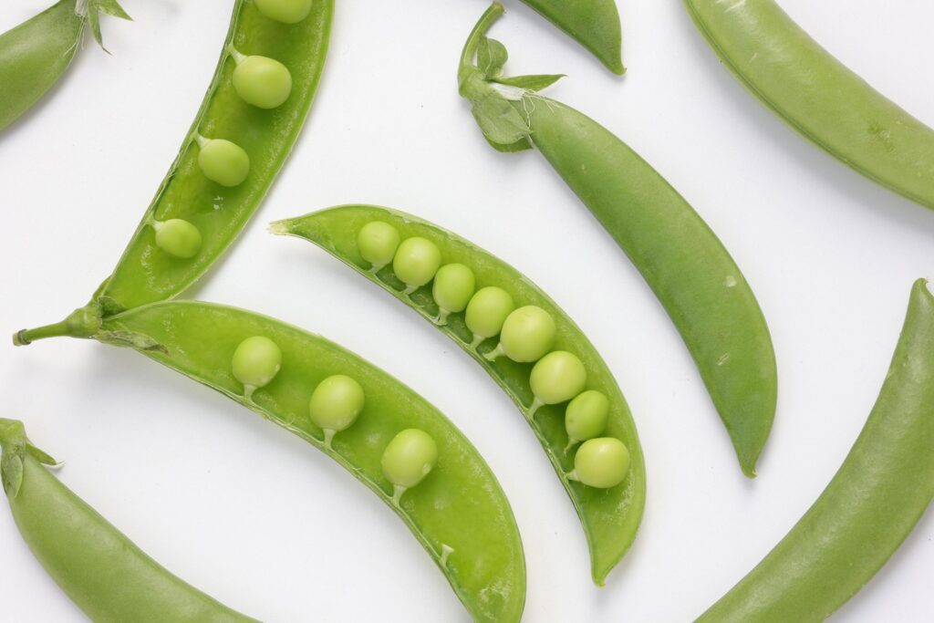 Pea on white background Stock Free