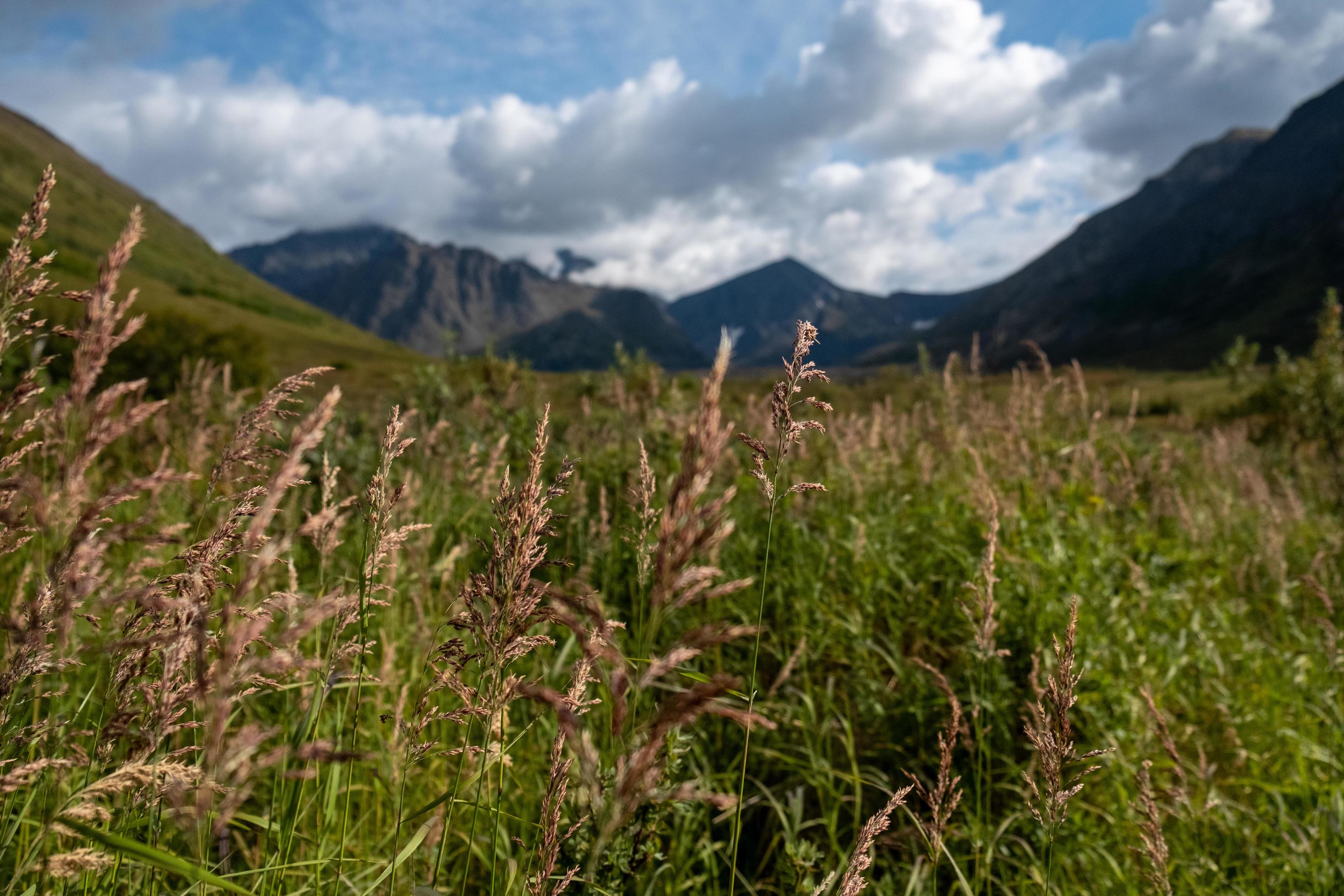 Nature landscape in Alaska Stock Free