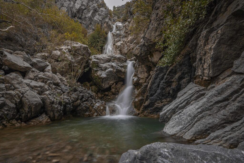 Mountain river stream waterfall green forest Landscape nature plant tree rainforest jungle Stock Free