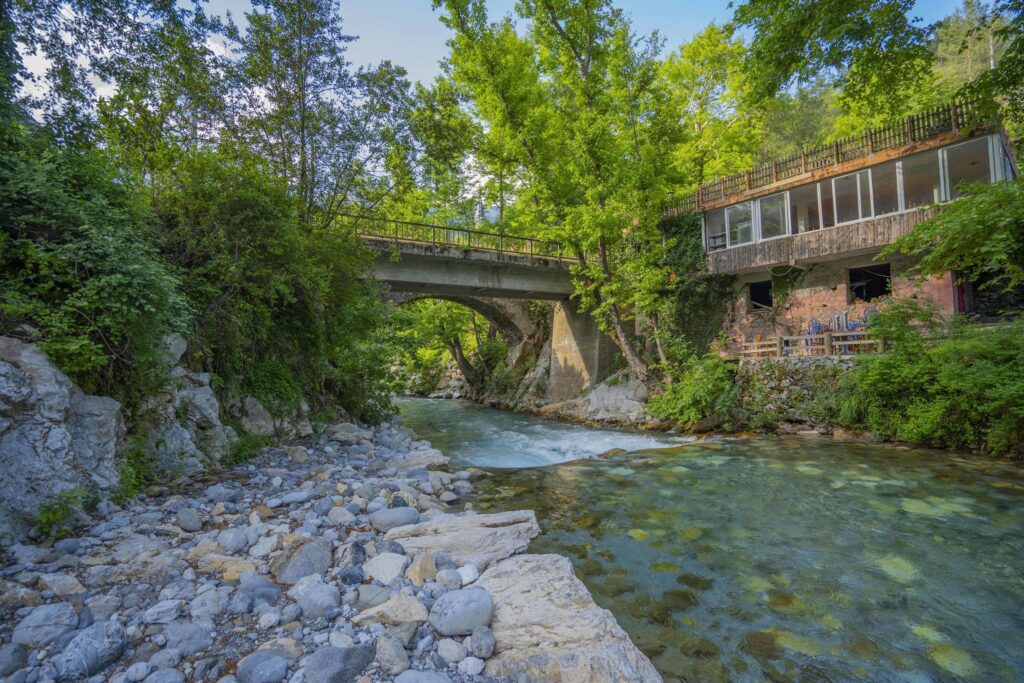 Mountain river stream waterfall green forest Landscape nature plant tree rainforest jungle Stock Free