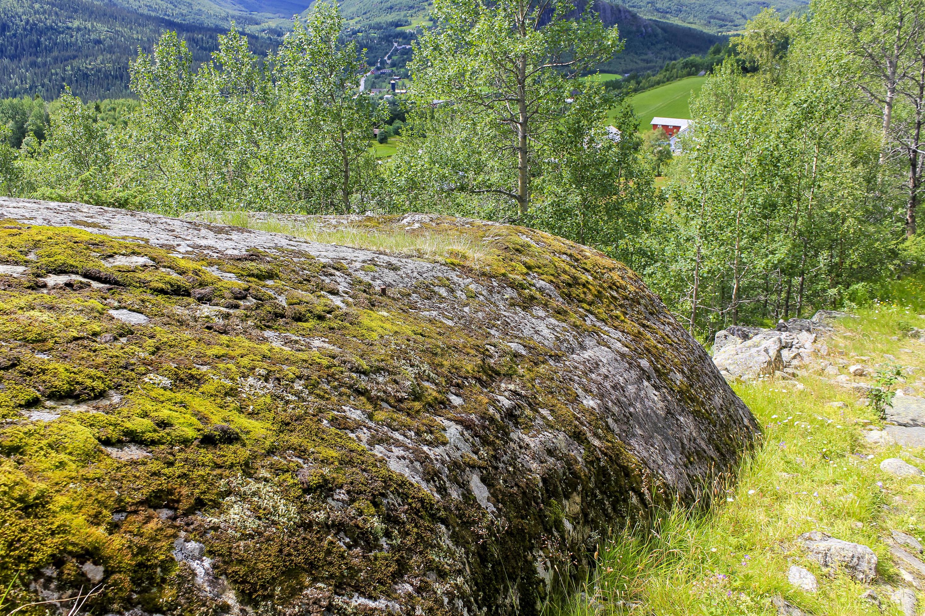 Norwegian landscape. Big rocks, mountains and forest. Norway Nature Hemsedal. Stock Free