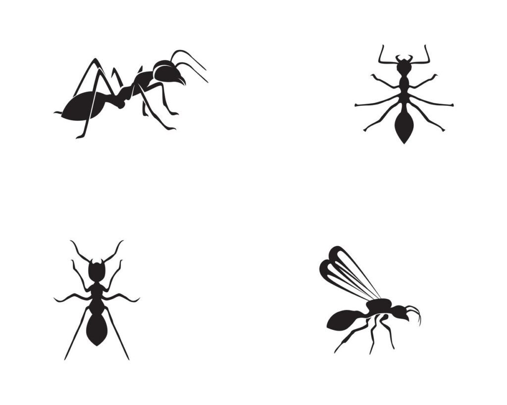 Ant Logo template vector illustration design Stock Free