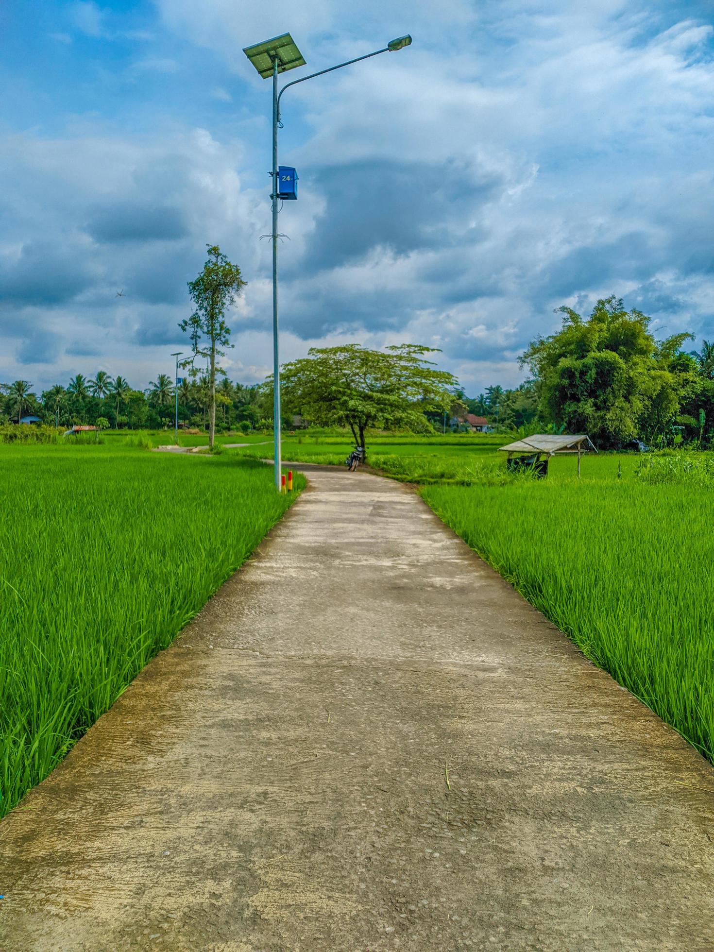 natural scenery in the village during the day. the beauty of the tourist route. Stock Free