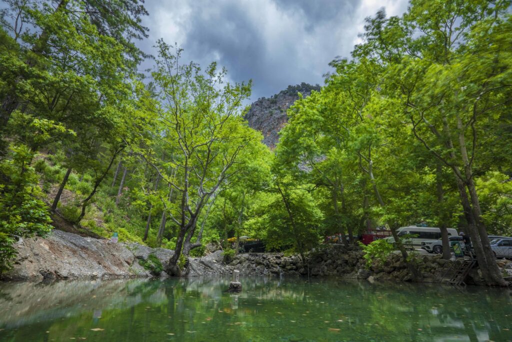 Mountain river stream waterfall green forest Landscape nature plant tree rainforest jungle Stock Free