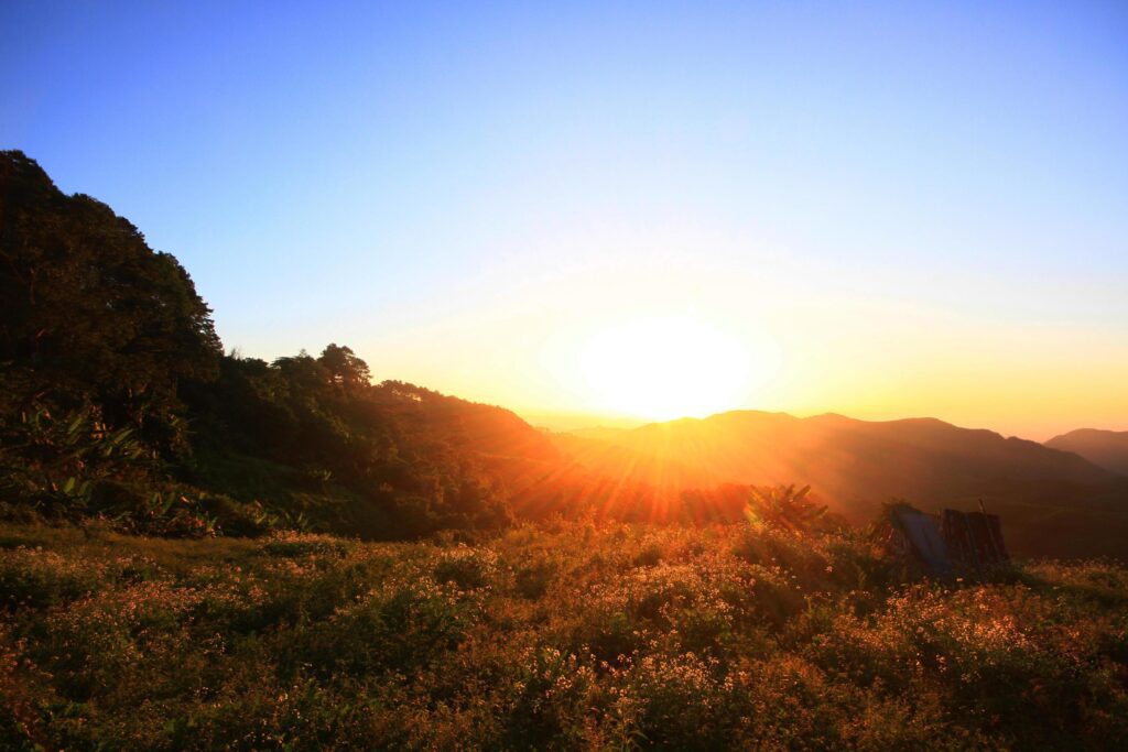 Beautiful bloming wild flowers fields and meadow in springtime on sunset and natural sunlight shining on mountain. Stock Free