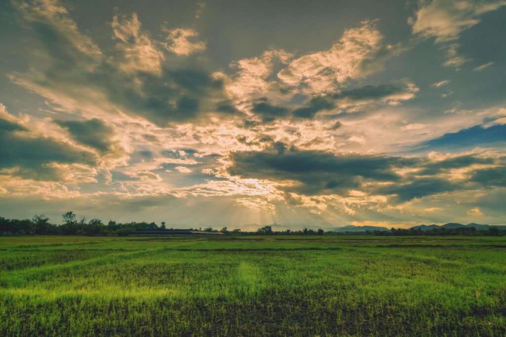 Natural scene Sky clouds and field agricultural sunset background Stock Free