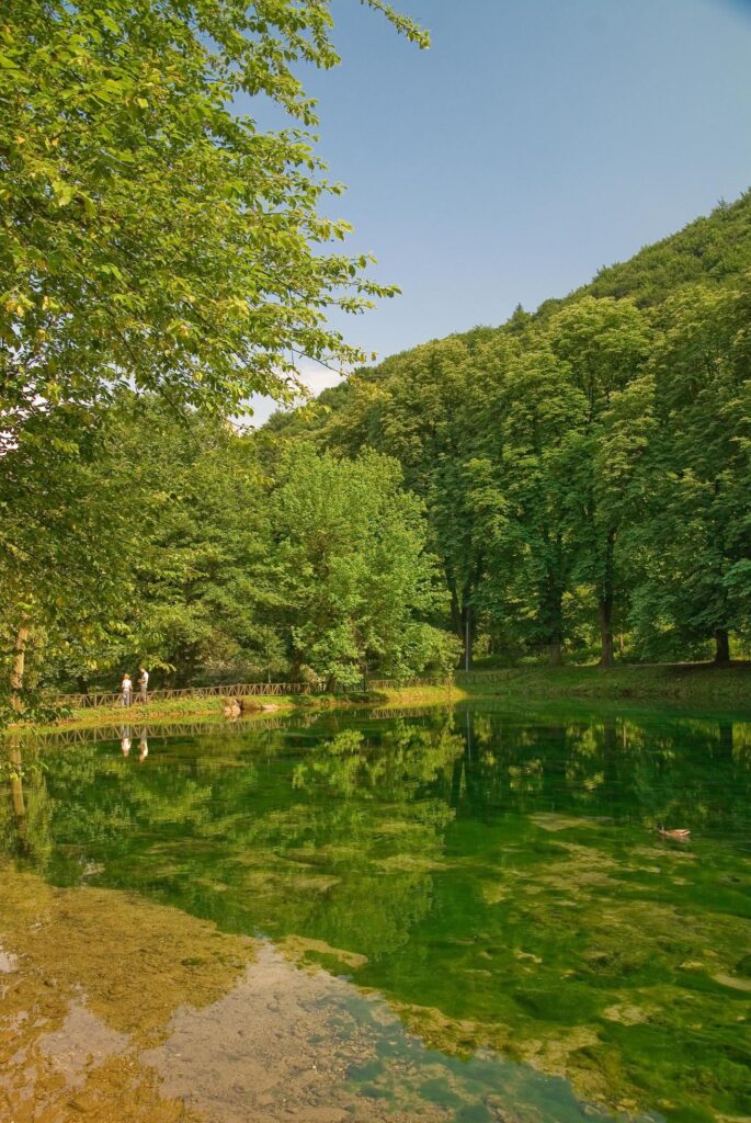 lake in pure nature Stock Free