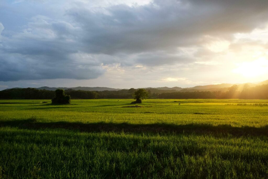 Beautuful landscape and greenery of farmland with natural sunset in valley mountain and destination of sunshine and cloud in Thailand Stock Free