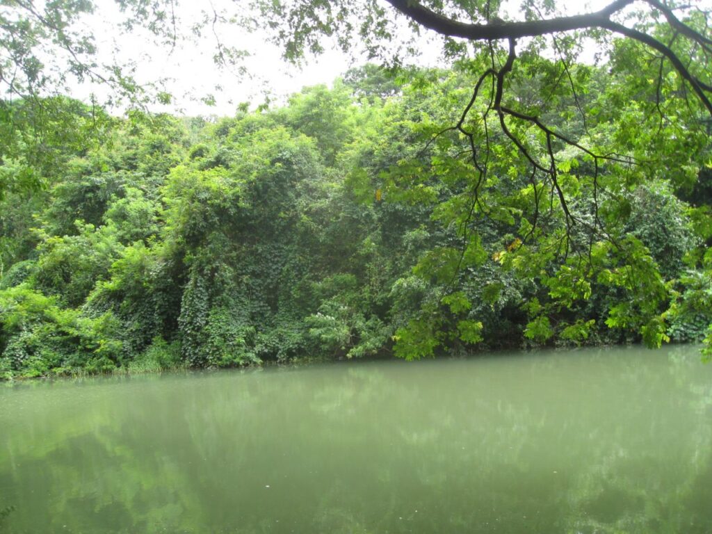 Green Water Lake Stock Free