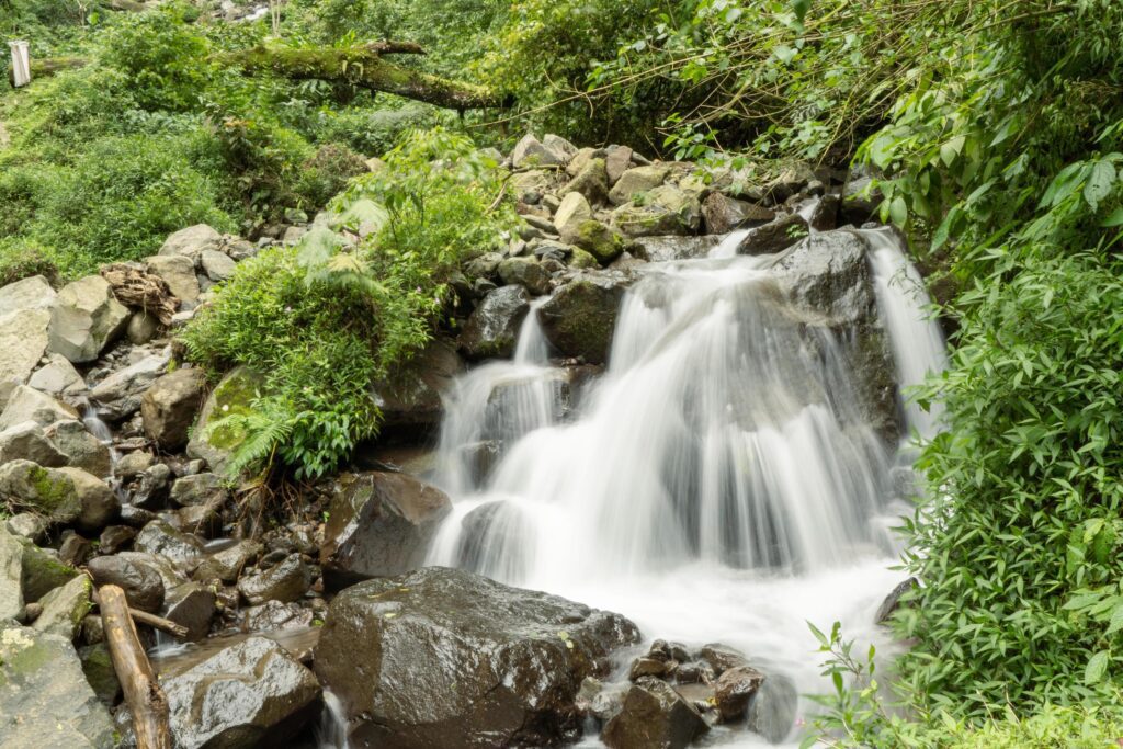 Scenery of single water fall on the tropical forest. The photo is suitable to use for adventure content media, nature poster and forest background. Stock Free