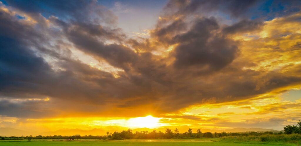 Panorama natural scenic beautiful sunset and rice field agricultural background Stock Free