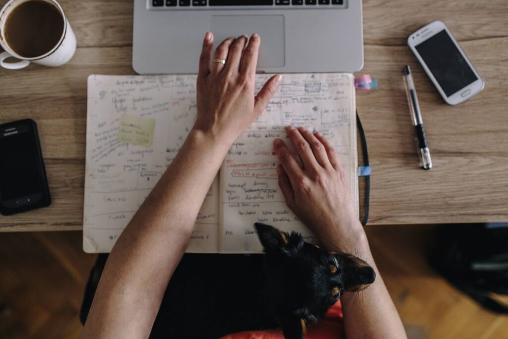 Woman working on her laptop with her dog Stock Free