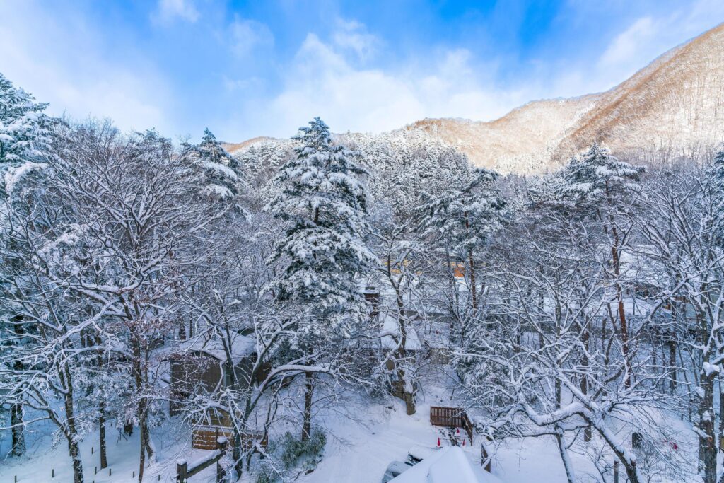 heavy snow at Heike No Sato Village in Tochigi Prefecture, Nikko City, JAPAN Stock Free