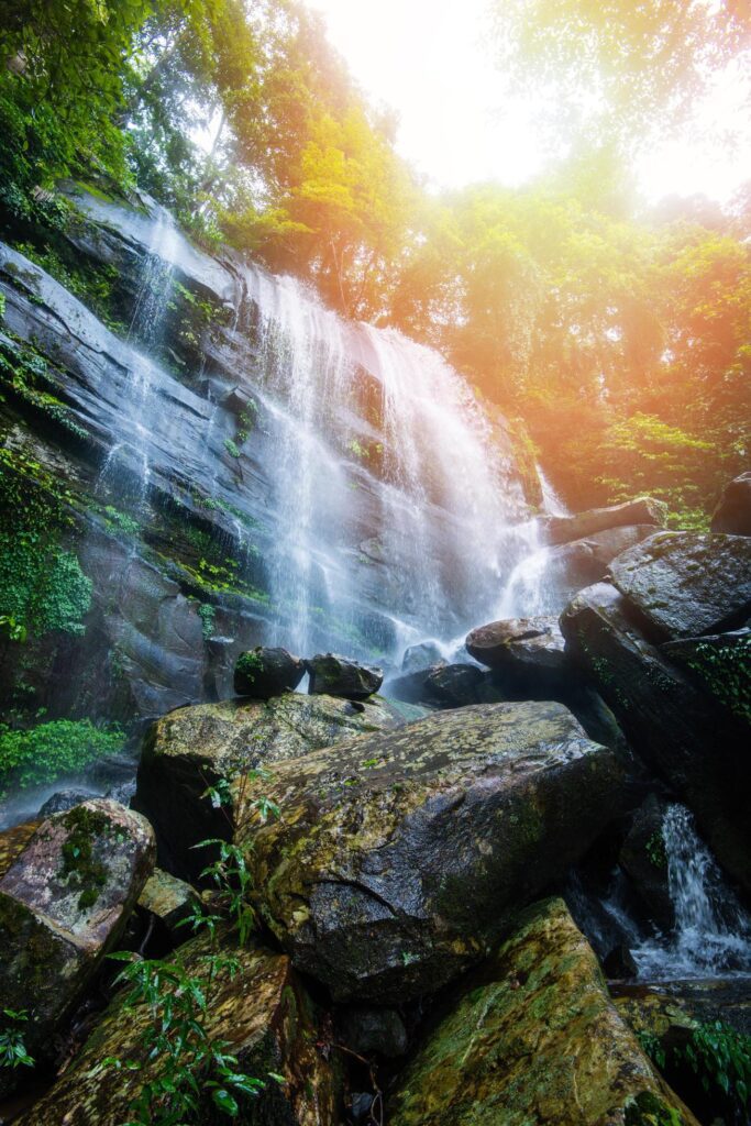 Jungle beautiful waterfall Mountain river stream Landscape waterfall green forest nature plant tree rainforest with rock Stock Free