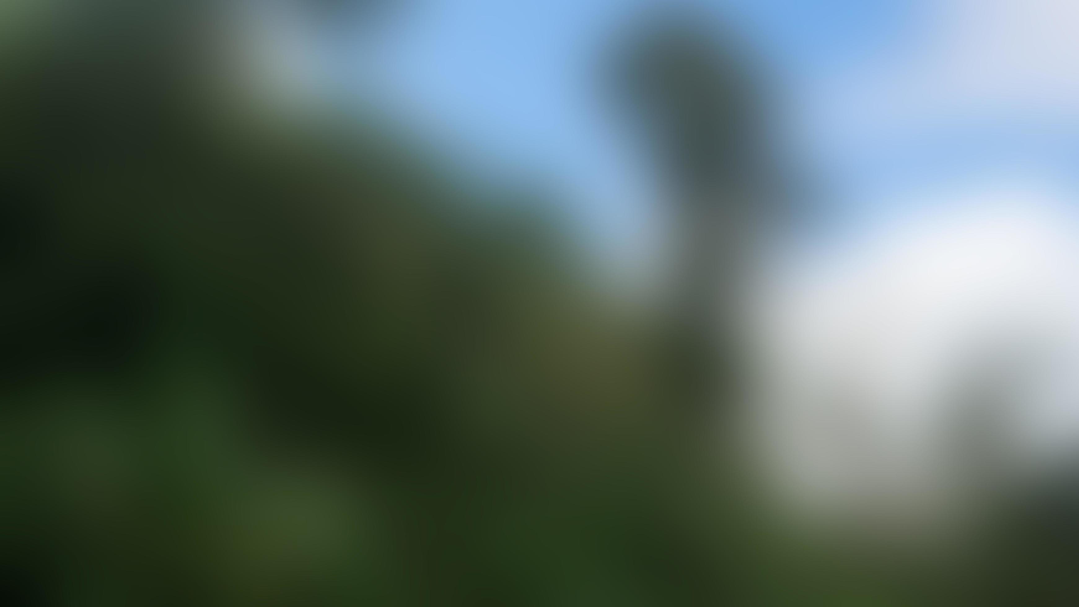 defocused beautiful and amazing blurred nature background Stock Free