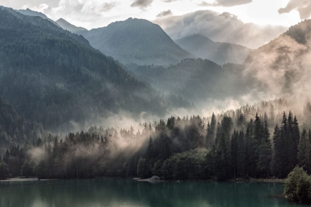 Morning Mist Tree Mountains Clouds Stock Free