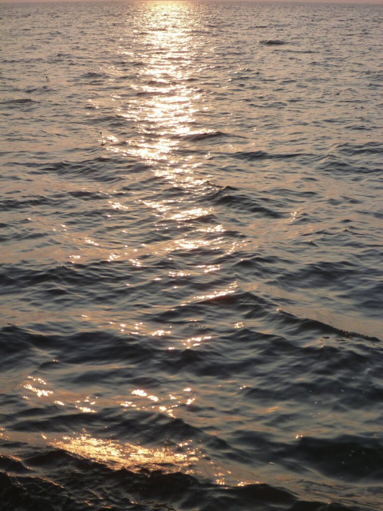 Sunset Sea Water Closeup Stock Free