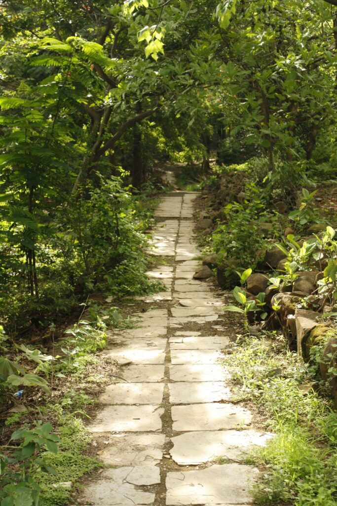 Pathway In A Garden Stock Free