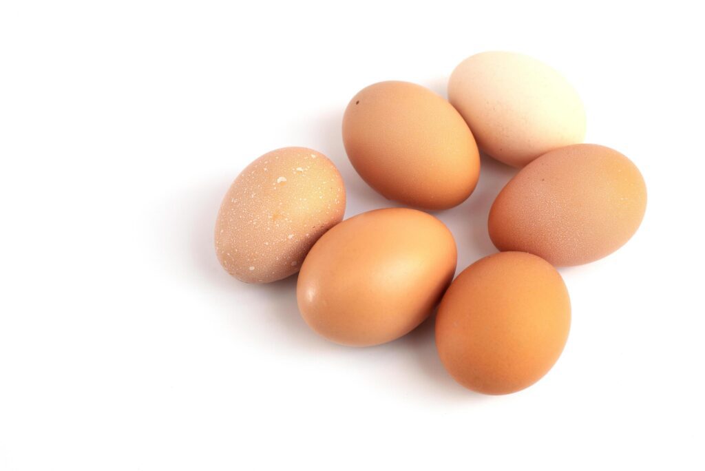 chicken eggs on a white background. view from above Stock Free