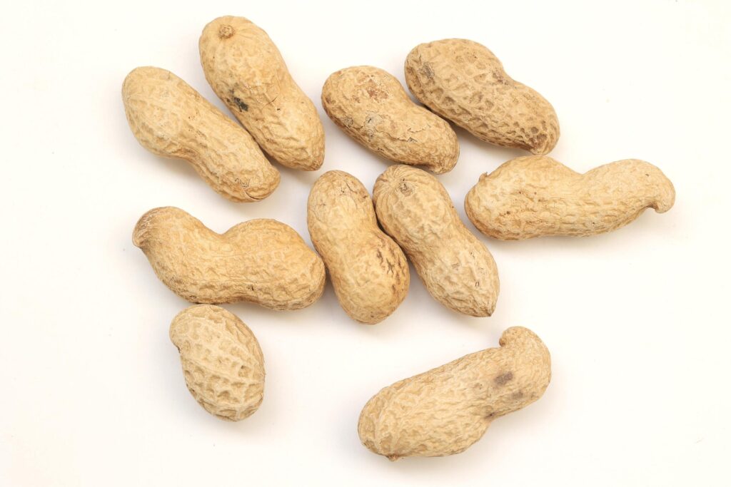 Peanut on white background Stock Free