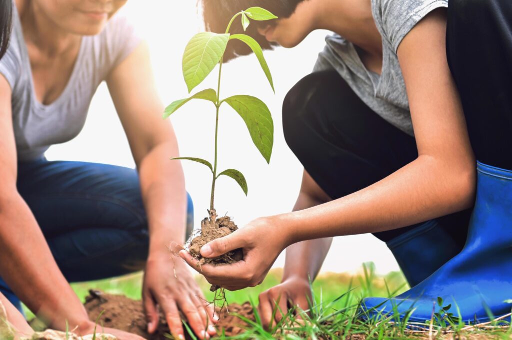 closeup two hand helping planting tree in nature for save earth Stock Free