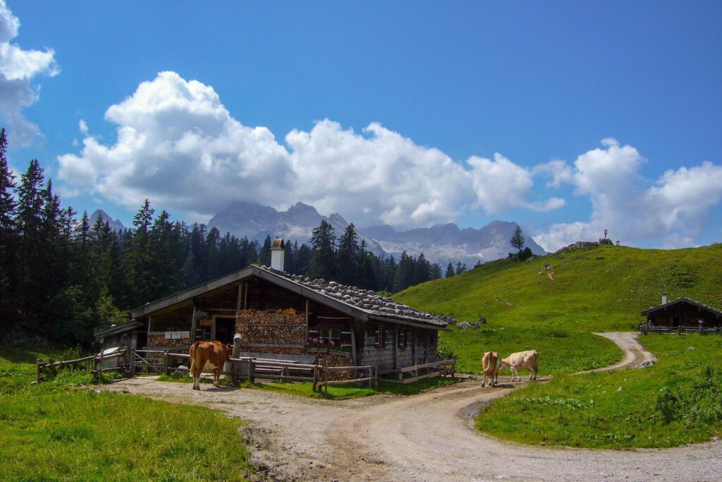 beautiful nature scenery at kallbrunn alm with cows, austria Stock Free