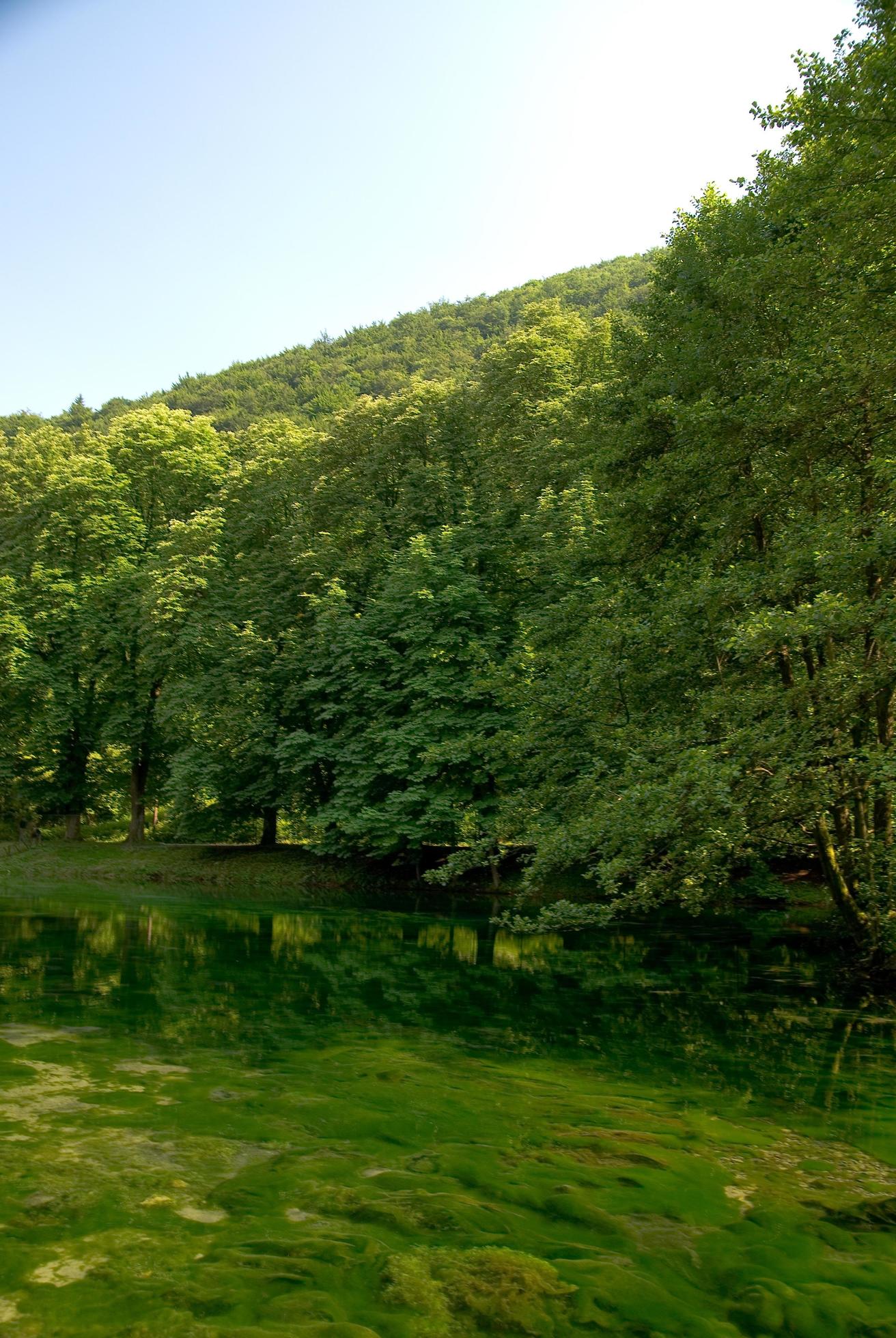 lake in pure nature Stock Free