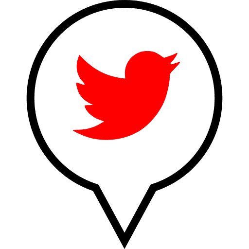 Twitter, pin, pointer icon