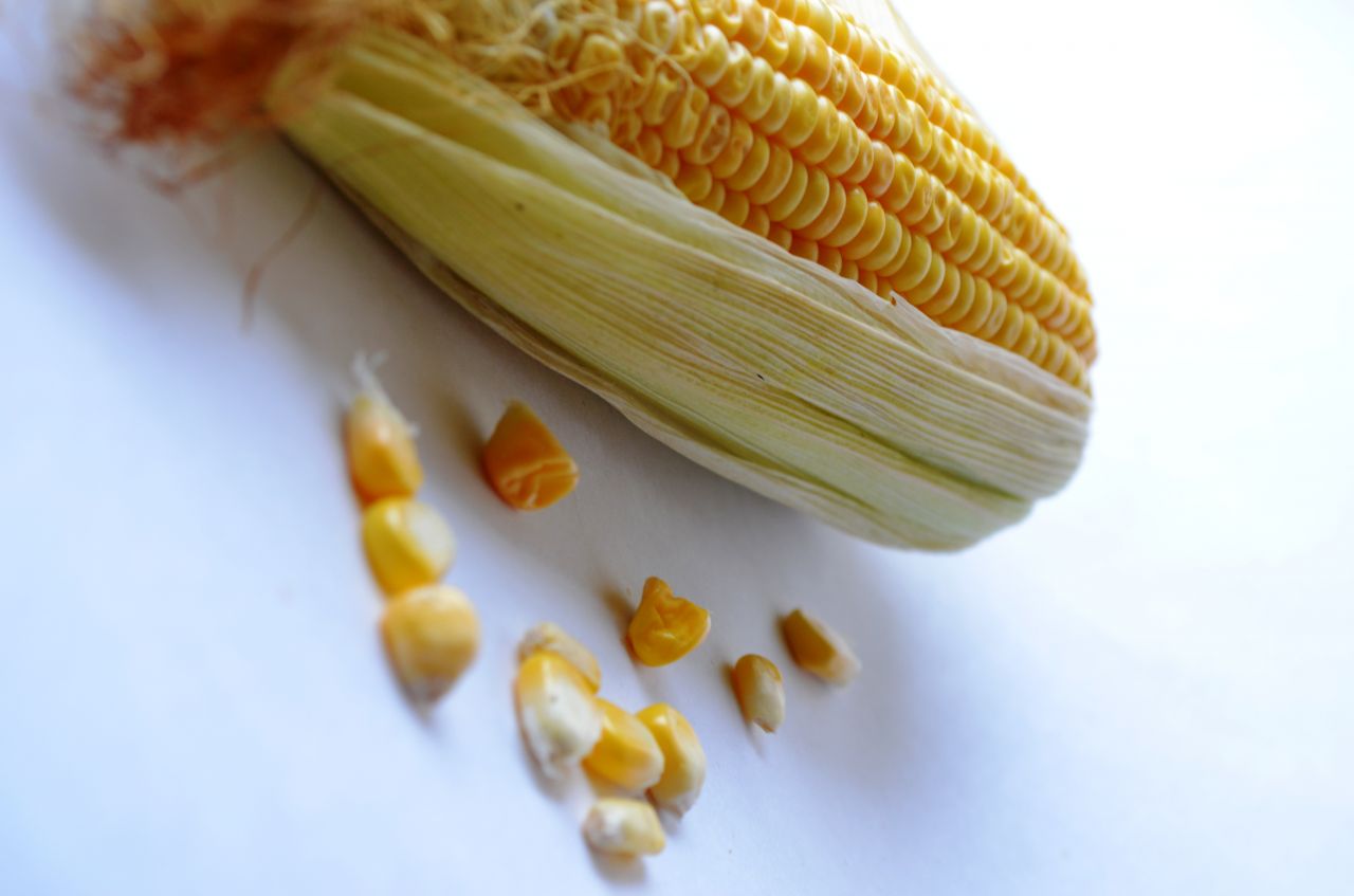 Maize Corn 4 Stock Free