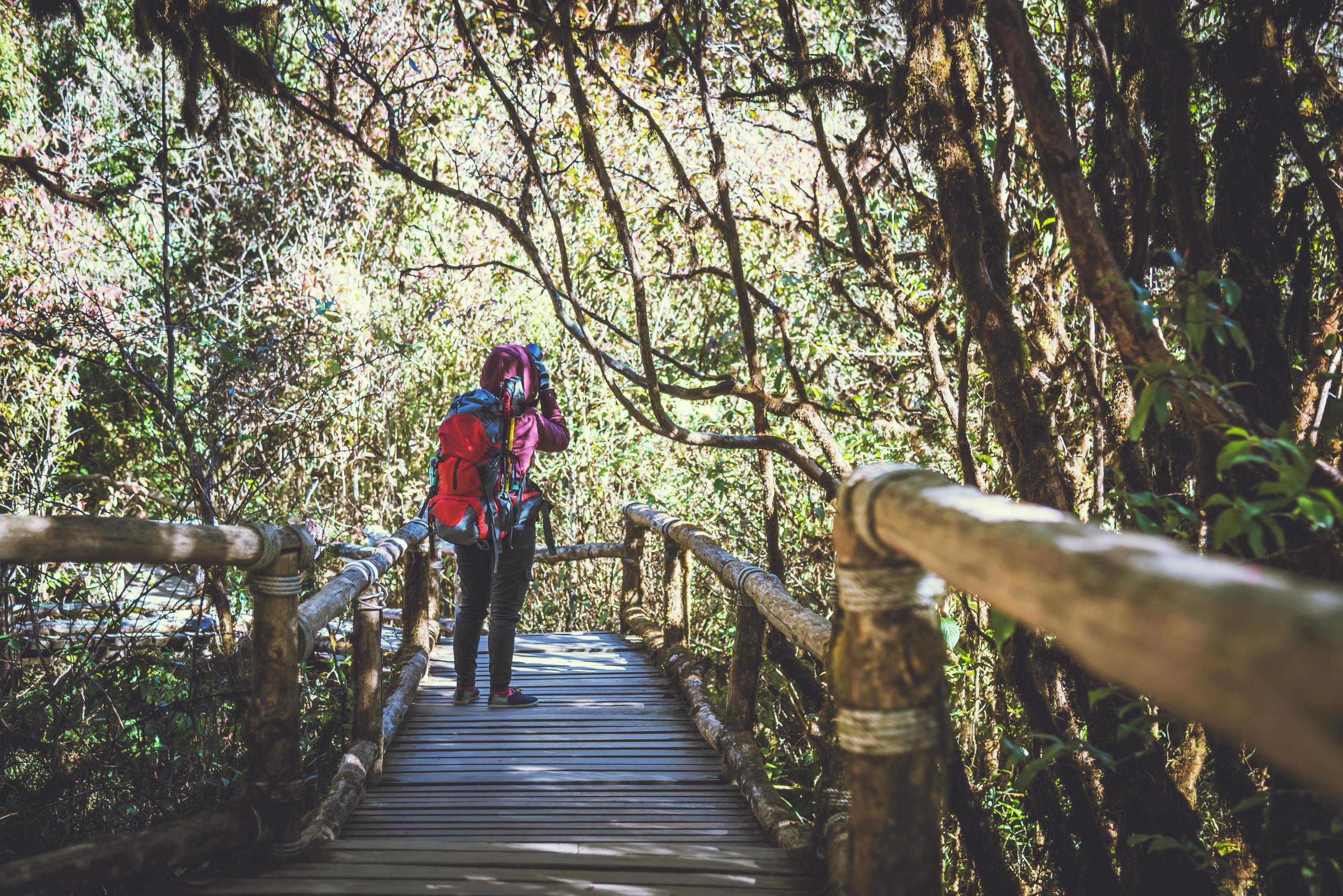 Photographer asian women travel nature. Travel relax. Nature Study in the Jungle. Thailand Stock Free