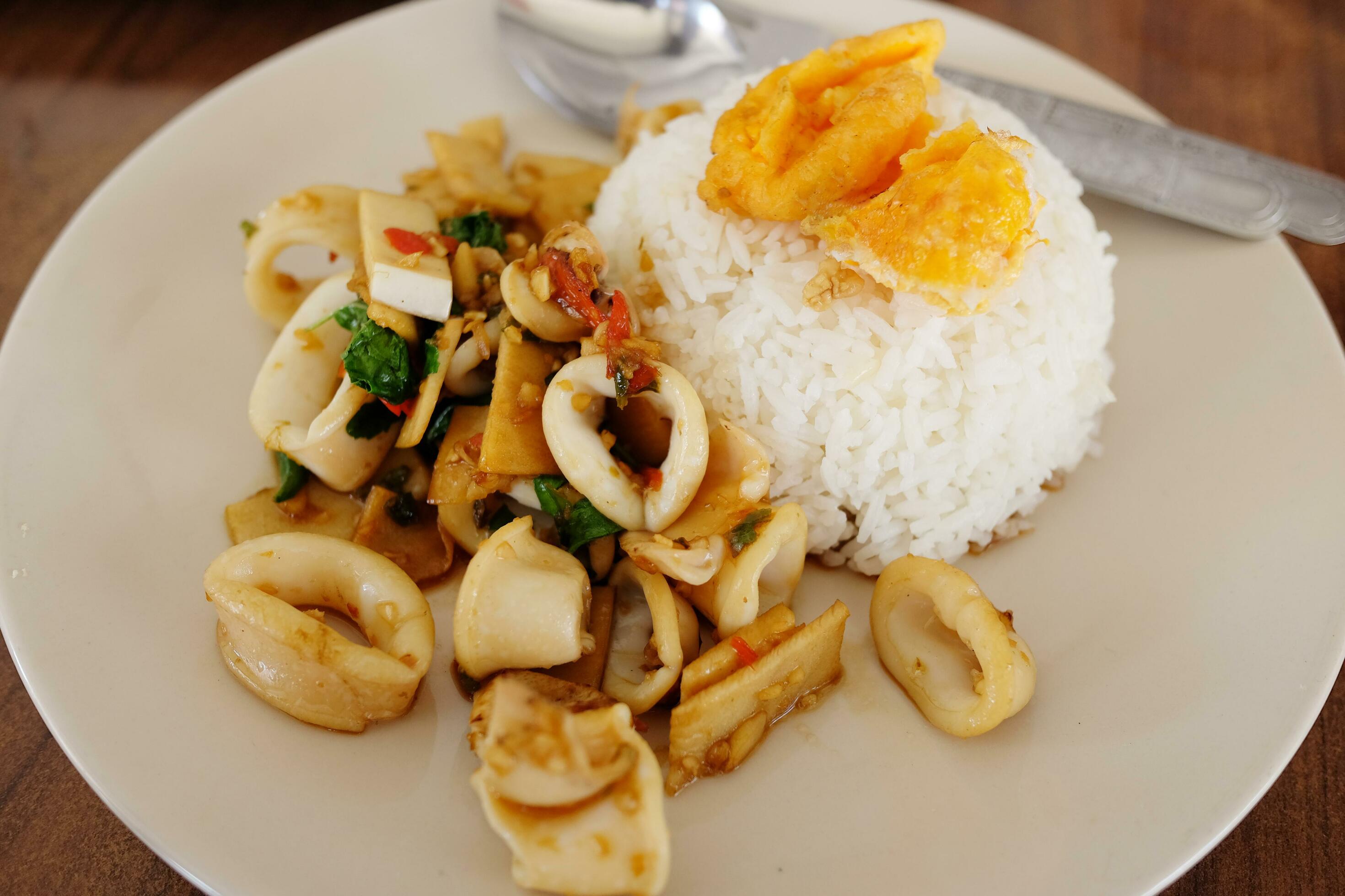 Steamed rice topped with fried squid with basil leaves and Fried Egg on white plate is Famous Thai food. Stock Free