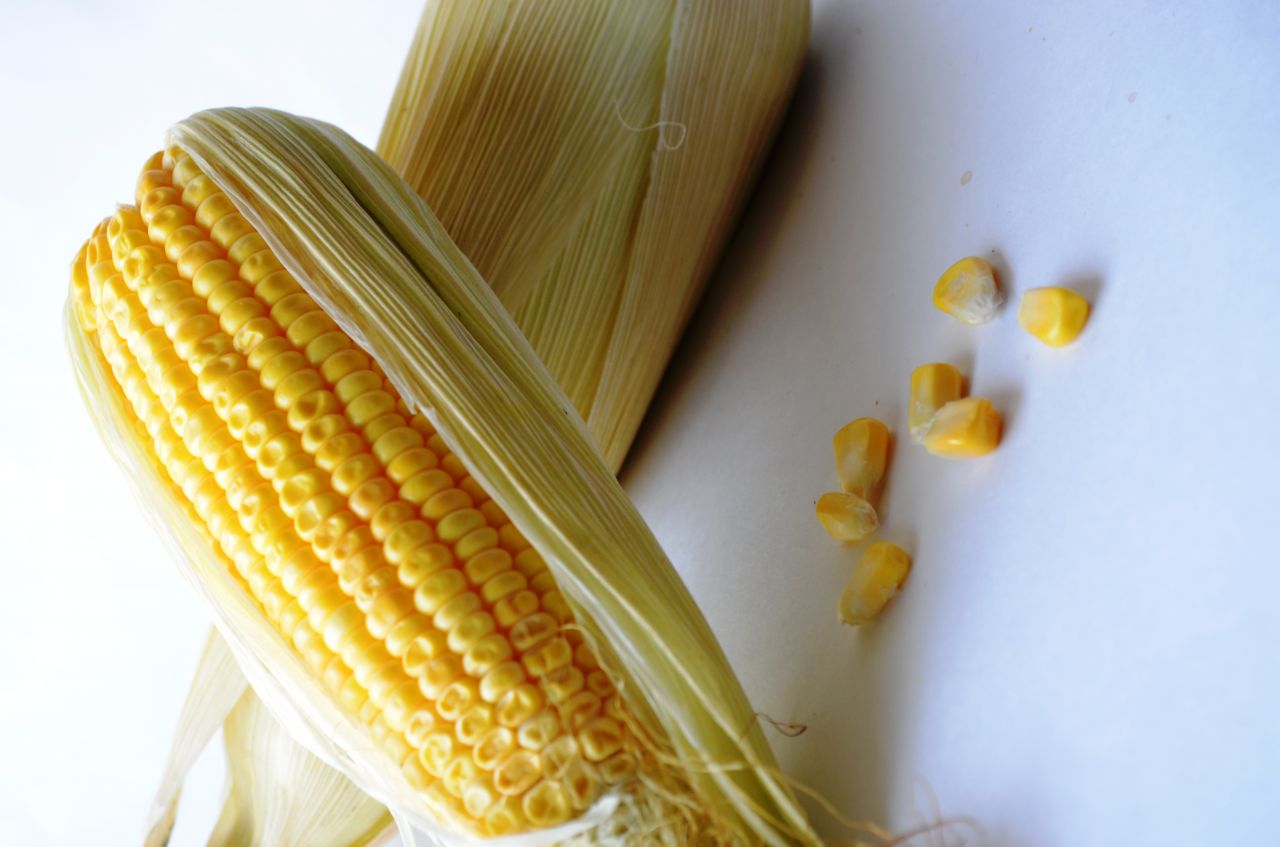 Maize Corn Pieces Stock Free