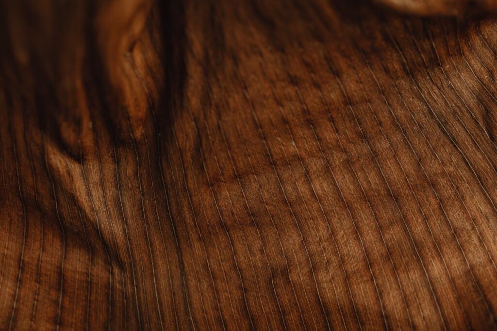 Close Up Detail Of A Dried Leaf – Banana Plant Stock Free