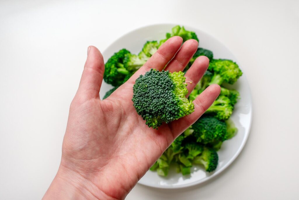 Broccoli in a woman’s hand against the background of a plate of broccoli. Broccoli on a white plate. Stock Free