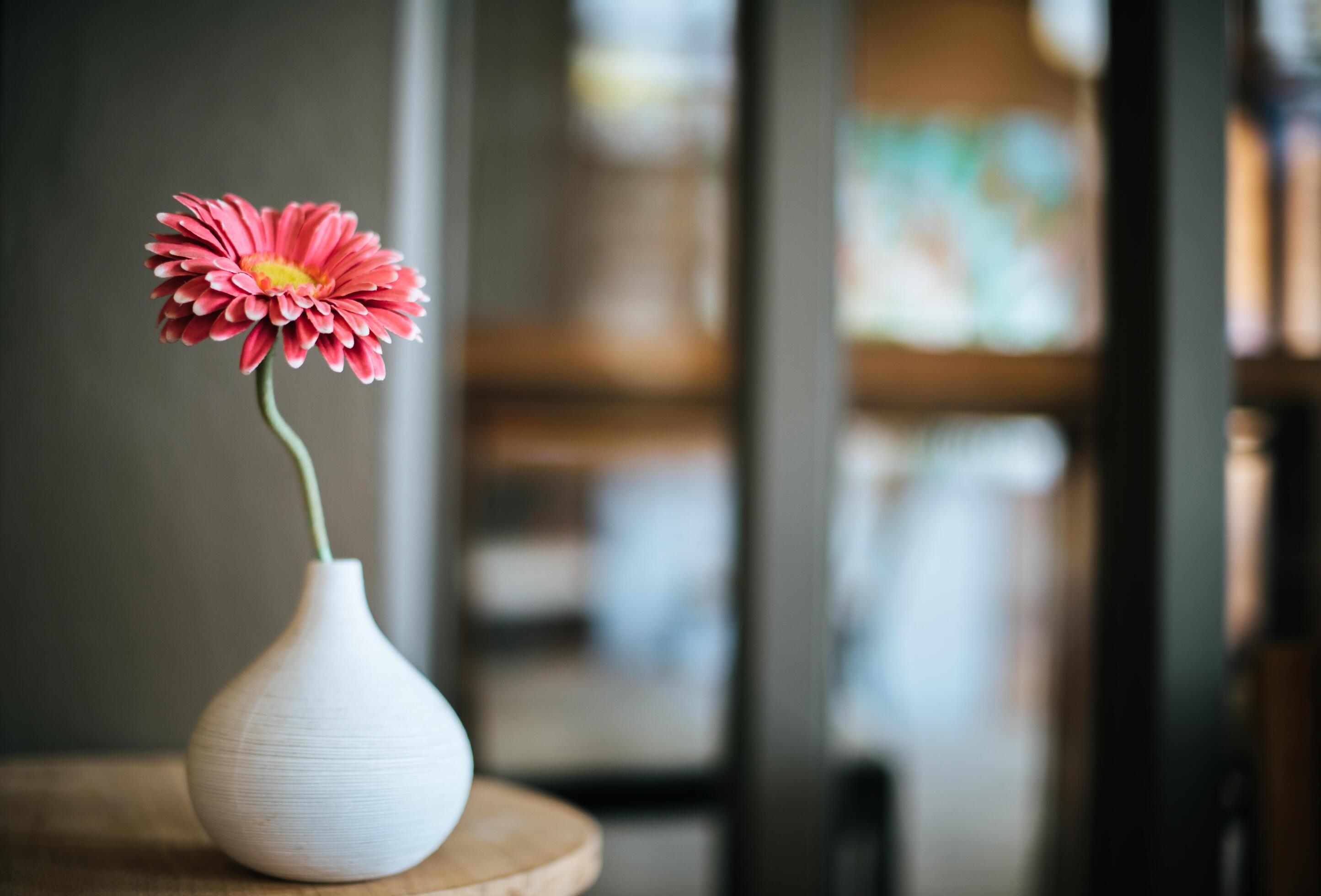 Flower in vase on table at coffee shop Stock Free