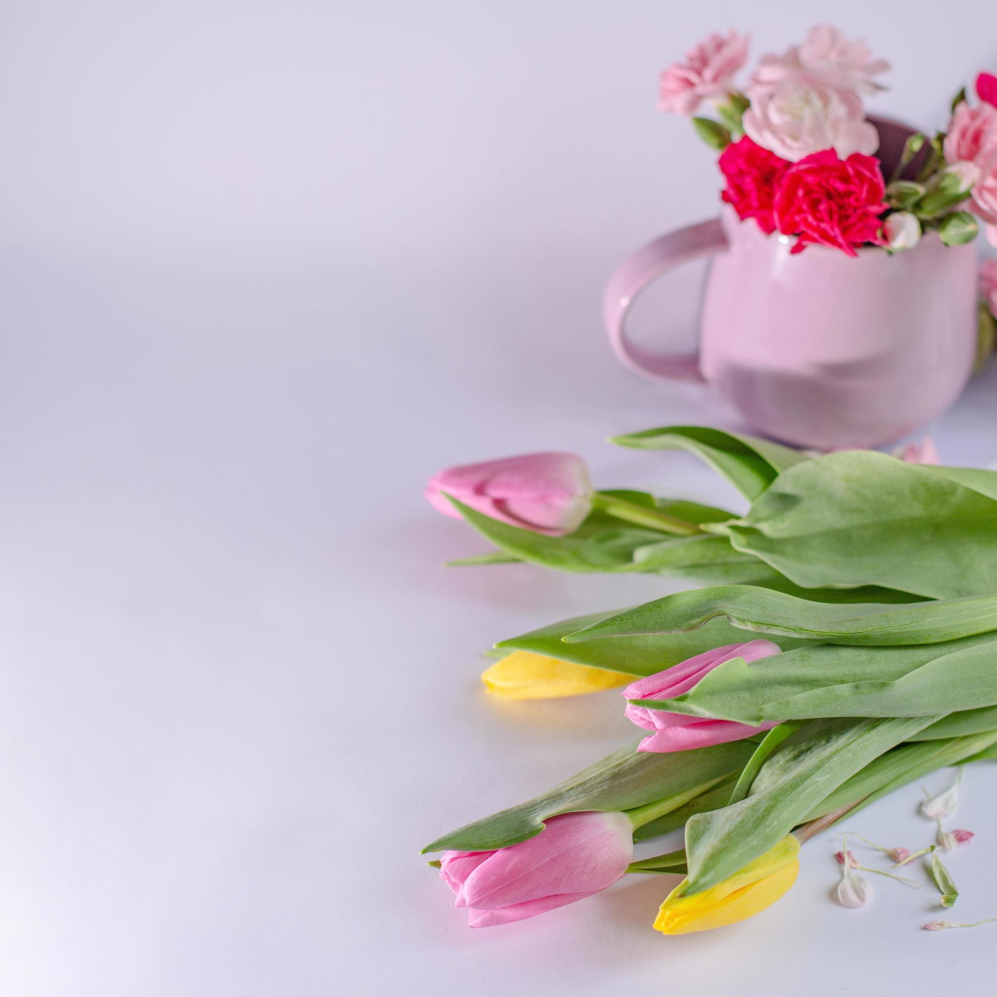 Bouquet of yellow and pink tulips on white background. Cup with flowers. Valentine’s Day and Mother’s Day background. Stock Free