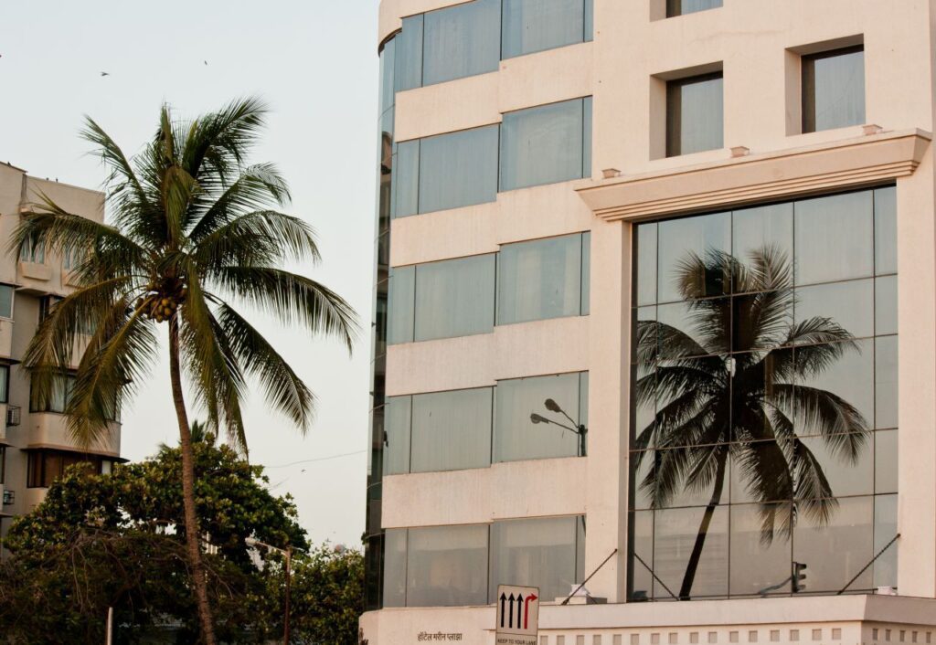 Tree Reflection Glass Building Stock Free